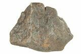 Canyon Diablo Iron Meteorite ( g) - Arizona #270687-1
